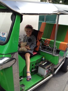 Rickshaw driver