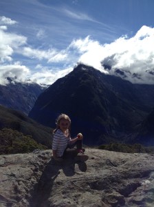 Summit Track in Fiordland