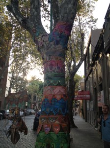 Even the Palermo trees are well-dressed!