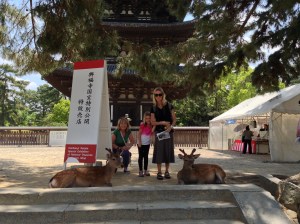 First deer sighting in front of the five story pagoda.