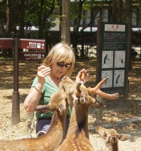 Jonathan's mum getting up close and personal with the deer at Nara