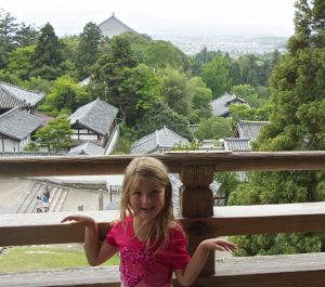 View above Nara 