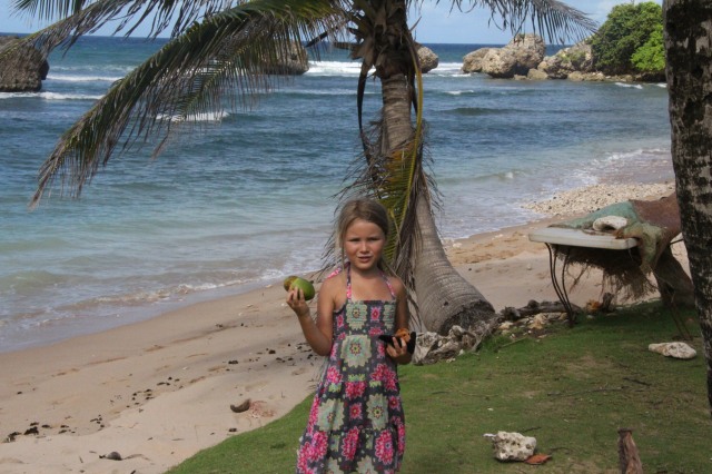 Finding coconuts on the wild and remote East Coast